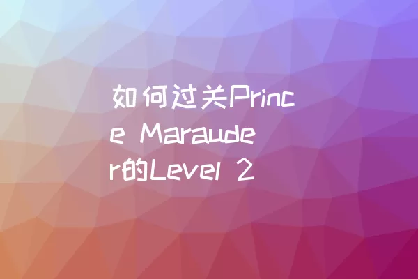 如何过关Prince Marauder的Level 2