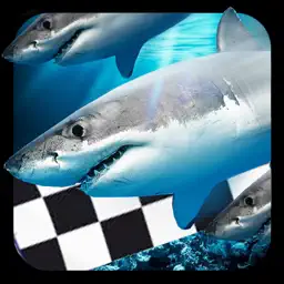 Fish Race Version
